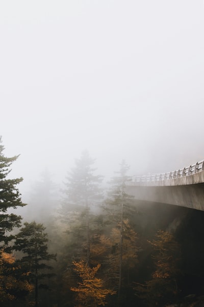 灰色混凝土桥上的雾